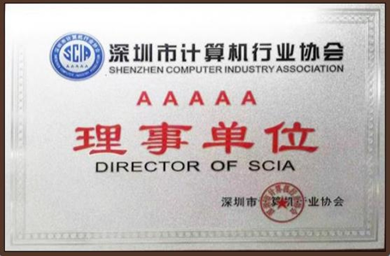 2015年，深圳市计算机行业协会理事单位